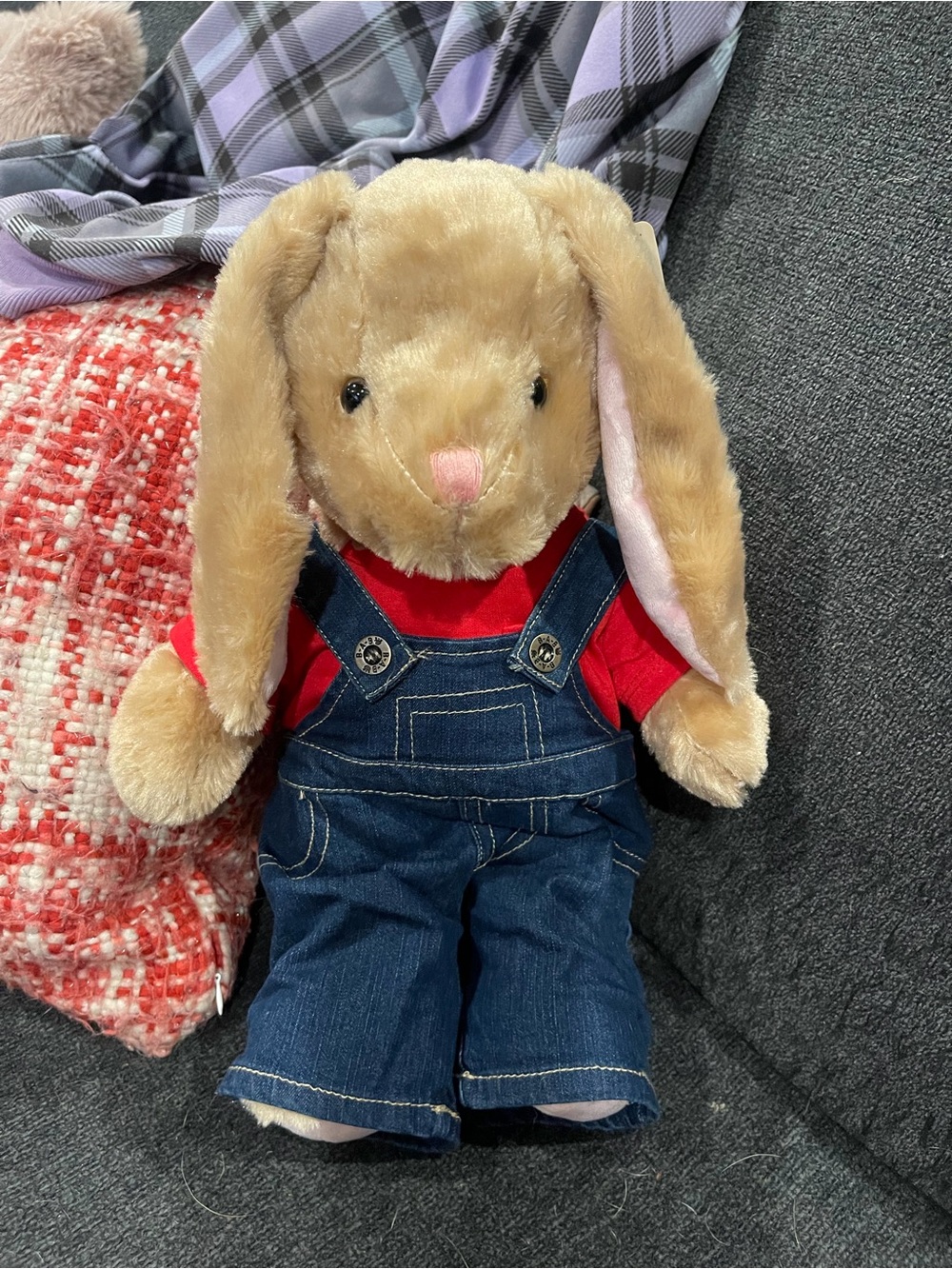 Build a bear bunny plush with outfit